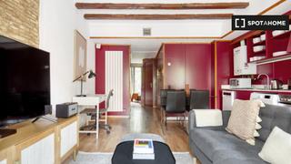 Alquiler Piso en St. Pere - Sta. Caterina - El Born. Apartamento de 1 dormitorio en alquiler en barcelona