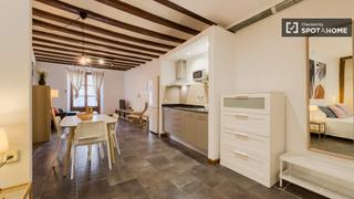Alquiler Piso en St. Pere - Sta. Caterina - El Born. Estudio en alquiler en sant pere santa caterina, barcelona