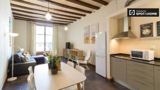 Location Appartement à St. Pere - Sta. Caterina - El Born. Apartamento de 1 dormitorio en alquiler en ciutat vella, barcelo
