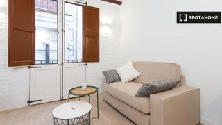 Location Appartement à Raval. Estudio en alquiler en el raval, barcelona.