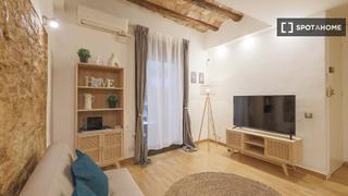 Lloguer Pis a Raval. Estudio en alquiler en el raval, barcelona