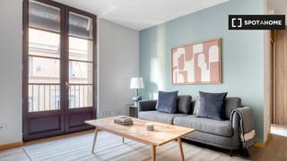 Location Appartement à St. Pere - Sta. Caterina - El Born. Piso de 2 dormitorios en alquiler en barcelona, barcelona