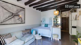 Lloguer Pis a St. Pere - Sta. Caterina - El Born. Estudio en alquiler en sant pere santa caterina i la ribera
