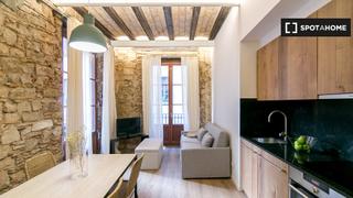 Lloguer Pis a St. Pere - Sta. Caterina - El Born. Piso en alquiler en sant pere santa caterina barcelona