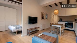 Miete Etagenwohnung in Gòtic. Estudio en alquiler en barrio gótico, barcelona