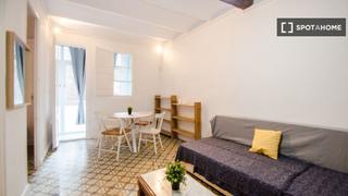 Lloguer Pis a Raval. Estudio en alquiler en el raval, barcelona.