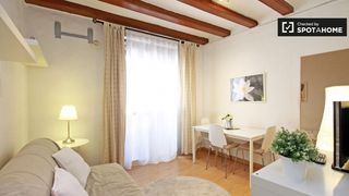 Lloguer Pis a Raval. Piso de 2 habitaciones en alquiler en el raval, barcelona.