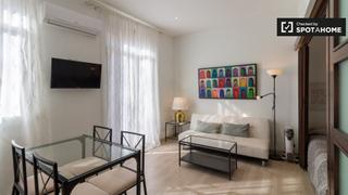 Lloguer Pis a Sant Antoni. Apartamento de 1 dormitorio en alquiler en el raval, barcelona