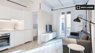 Location Appartement à Barceloneta. Estudio en alquiler en la barceloneta, barcelona