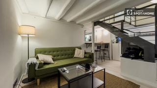 Location Appartement à St. Pere - Sta. Caterina - El Born. Estudio en alquiler en sant pere santa caterina.