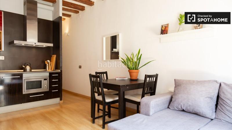 Foto 11044ad2-a9db-42da-b767-e5c9fa23baaf. Alquiler piso elegante estudio en alquiler en el raval, . en Barcelona