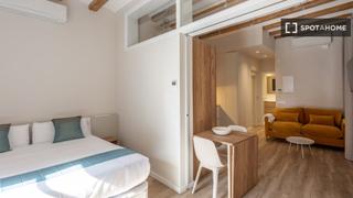 Location Appartement à Gòtic. Apartamento de 1 dormitorio en alquiler en el gòtic, barcelona