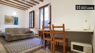 Alquiler Piso en Gòtic. Estudio en alquiler en el gótico, barcelona