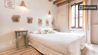 Lloguer Pis a Gòtic. Estudio en alquiler en el gótico, barcelona