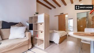 Alquiler Piso en Raval. Piso en alquiler de 1 habitación en el gòtic, barcelona
