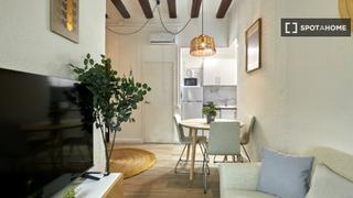 Location Appartement à Raval. Apartamento de 1 dormitorio en barcelona