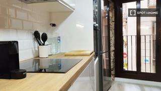Alquiler Piso en St. Pere - Sta. Caterina - El Born. Estudio en alquiler en sant pere santa caterina i la ribera