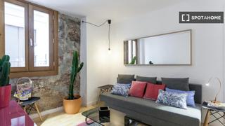 Alquiler Piso en St. Pere - Sta. Caterina - El Born. Apartamento de 2 dormitorios en alquiler en barcelona
