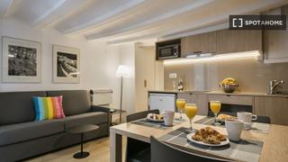 Rent Flat in St. Pere - Sta. Caterina - El Born. Estudio en alquiler en el casco antiguo de barcelona