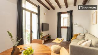 Miete Etagenwohnung in St. Pere - Sta. Caterina - El Born. Apartamento de 1 habitación en alquiler en ciutat vella, barcelo