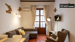 Miete Etagenwohnung in Raval. Apartamento de 1 dormitorio en alquiler en el raval, barcelona
