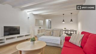 Miete Etagenwohnung in St. Pere - Sta. Caterina - El Born. Piso de 2 habitaciones en el centro de barcelona
