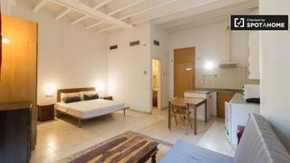 Alquiler Piso en Raval. Precioso apartamento en alquiler cerca del puerto