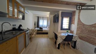 Rent Flat in El Poble Sec - Parc de Montjuïc. Estudio en alquiler en el poble sec, barcelona