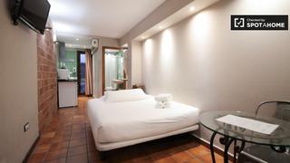 Lloguer Pis a Raval. Cool estudio en alquiler en el raval, barcelona