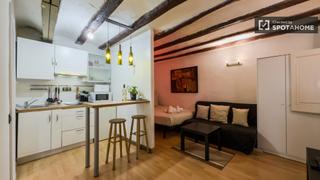 Miete Etagenwohnung in St. Pere - Sta. Caterina - El Born. Estudio en alquiler en sant pere, barcelona.