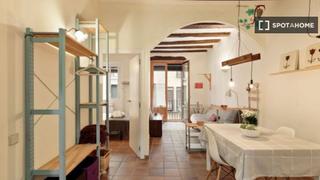 Alquiler Piso en Gòtic. Apartamento de 1 dormitorio en alquiler en el gòtic, barcelona