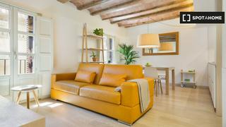 Rent Flat in Gòtic. Apartamento de 2 habitaciones en alquiler en el gòtic, barcelona