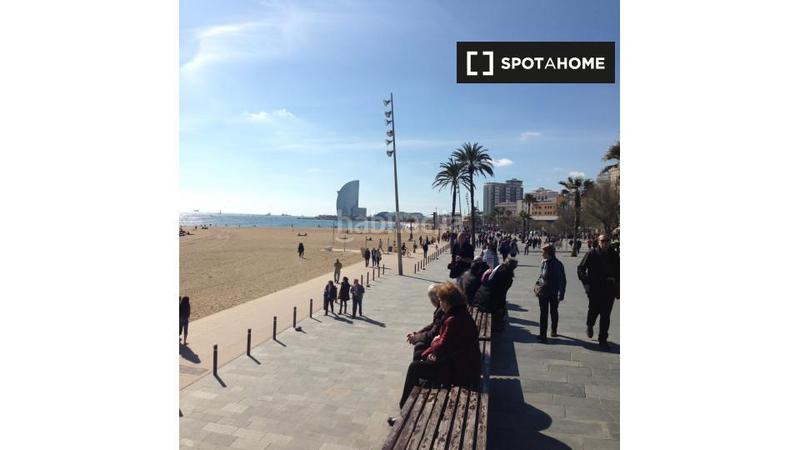 Foto d6be3372-0900-4675-93b4-b379ec7fe4ea. Alquiler piso apartamento de 2 dormitorios en alquiler en la Barceloneta en Barcelona