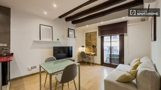 Alquiler Piso en Raval. Piso de 1 dormitorio en alquiler en el raval, barcelona.