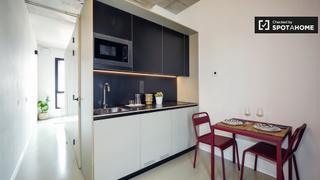 Miete Etagenwohnung in La Mina. Moderno estudio en alquiler en poblenou, barcelona