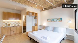 Location Appartement à St. Pere - Sta. Caterina - El Born. Estudio en alquiler en la barceloneta, barcelona