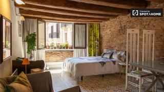 Location Appartement à St. Pere - Sta. Caterina - El Born. Elegante estudio en alquiler en el born, barcelona.