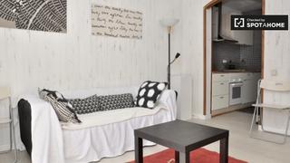 Alquiler Piso en Raval. Precioso apartamento de 1 dormitorio en alquiler en el raval
