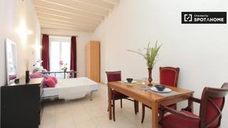 Location Appartement à Gòtic. Se alquila amplio monoambiente con gran terraza