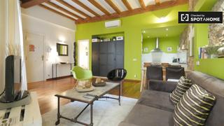 Affitto Appartamento in St. Pere - Sta. Caterina - El Born. Apartamento de 1 dormitorio en alquiler en sant pere, barcelona