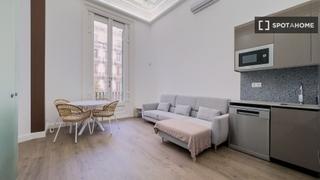 Alquiler Piso en Dreta de l´Eixample. Estudio en alquiler en la dreta de leixample, barcelona