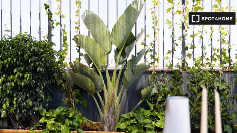 Foto 0720d96b-e217-46d9-911b-3ccd3a48f653. Affitto appartamento con riscaldamento in Dreta de l´Eixample Barcelona