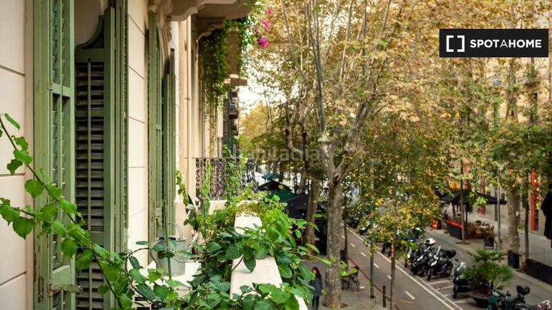 Foto eb0b5876-46d7-4781-9f98-8b3d8f347d41. Alquiler piso apartamento de 2 dormitorios en alquiler en Barcelona