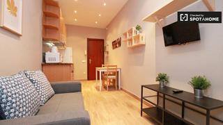 Lloguer Pis a Hostafrancs. Apartamento de 1 dormitorio en alquiler en sants, barcelona