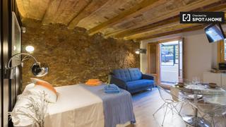 Alquiler Piso en Raval. Funky estudio en alquiler en el raval, barcelona