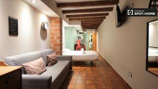 Location Appartement à Raval. Acogedor estudio en alquiler en el raval, barcelona.