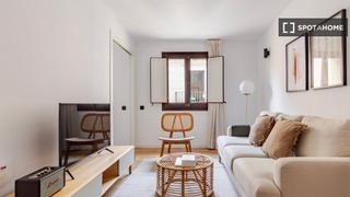 Alquiler Piso en Raval. Apartamento de 1 dormitorio en el raval, barcelona