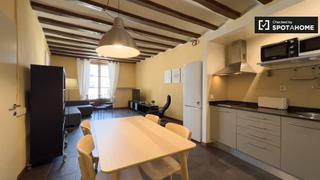 Lloguer Pis a St. Pere - Sta. Caterina - El Born. Estudio en alquiler en sant pere santa caterina i la ribera