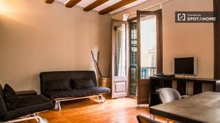 Lloguer Pis a Raval. Amplio apartamento de 2 dormitorios en alquiler, el raval, barce