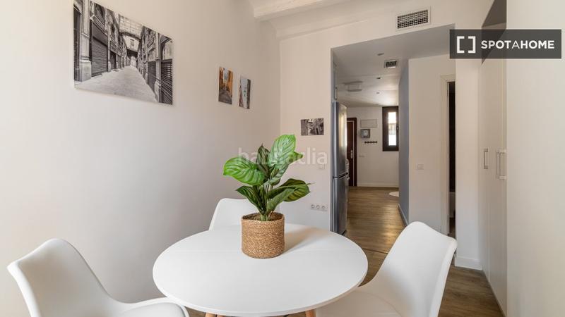 Foto b4d9e39b-8808-4b94-b3e7-21229e19e9c2. Alquiler piso estudio en alquiler en el Raval, en Barcelona